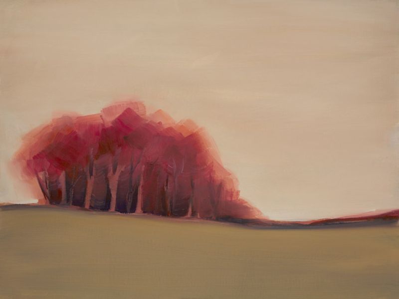 Sentinels
