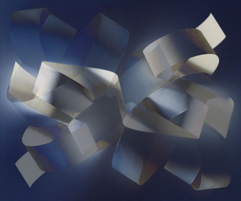 The Curled Paper 3