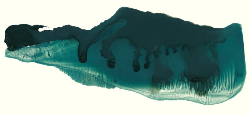 Shoreline 2