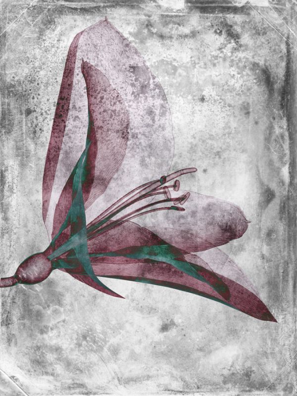 Flower Inversions 2