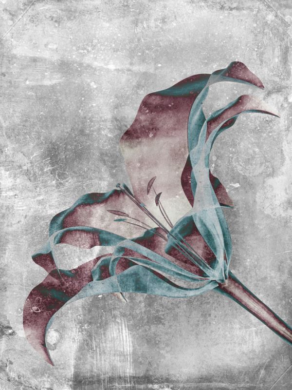 Flower Inversions 3