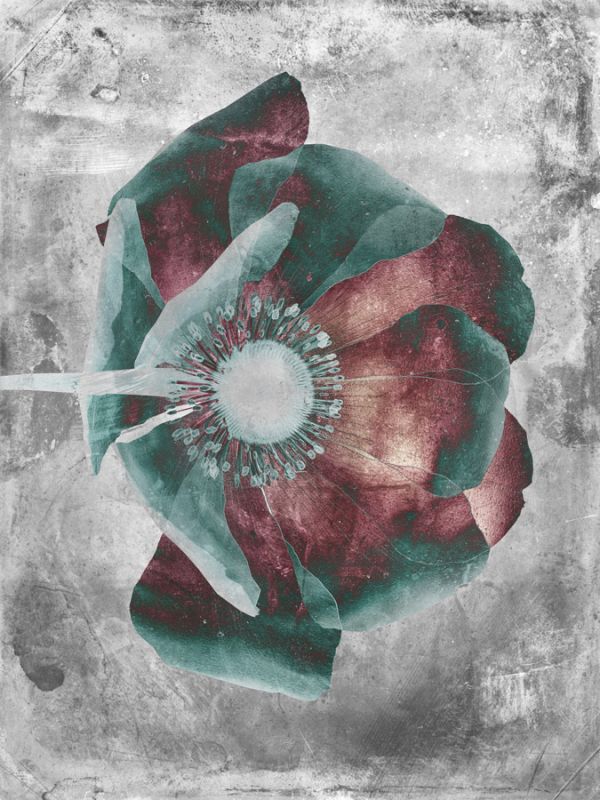 Flower Inversions 6