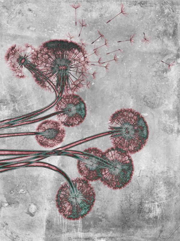 Flower Inversions 9
