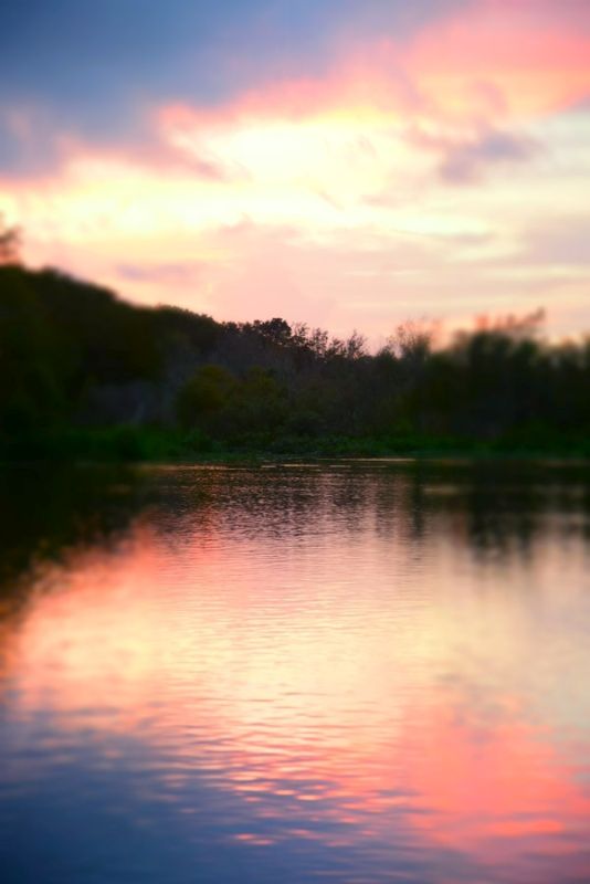 Land of Enchantment #3