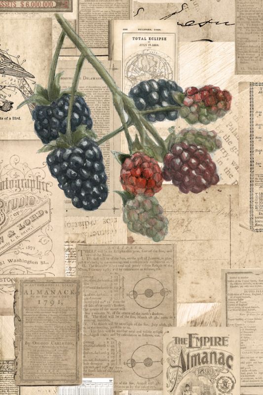 Academic Raspberry Illustration