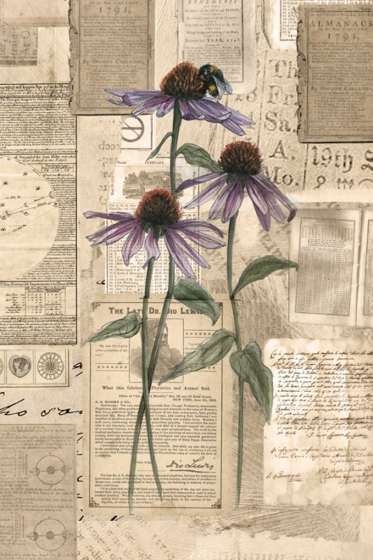 Academic Purple Wildflower Illustration
