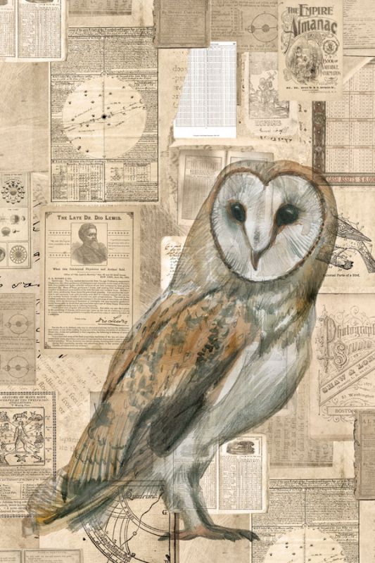 Academic Owl Illustration