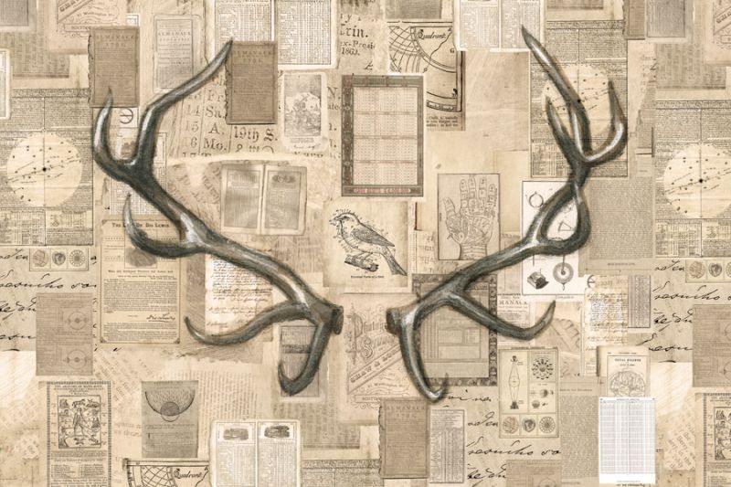 Academic Antler Illustration