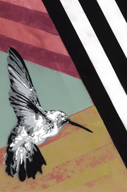 Hummingbird - Recolor