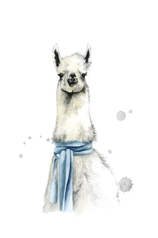 Llama 1