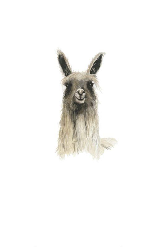 Llama 2