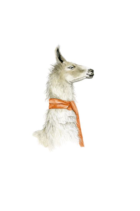 Llama 3