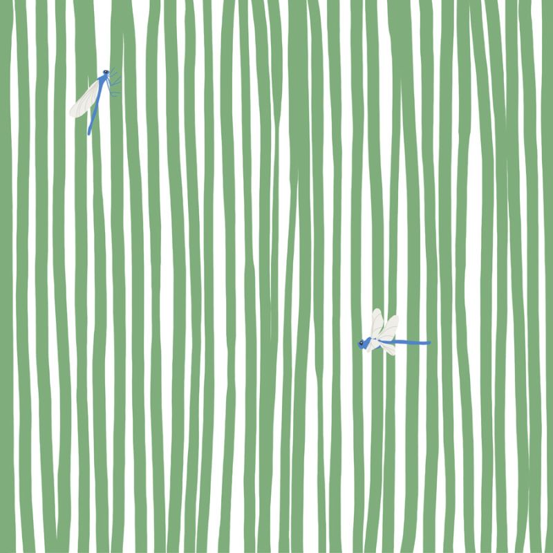 Dragonflies In Stripes