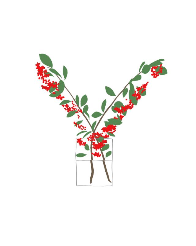 Berries In Vase