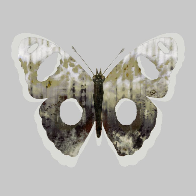 Painted Butterfly 2
