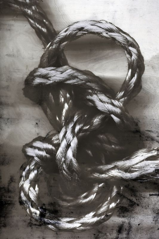 Knotted Rope Study 3