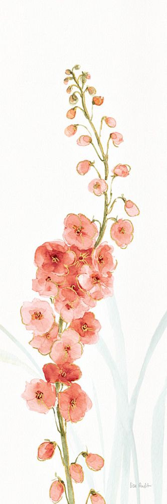 Rainbow Seeds Flowers VII Coral