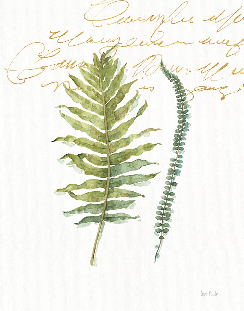 My Greenhouse Fern I