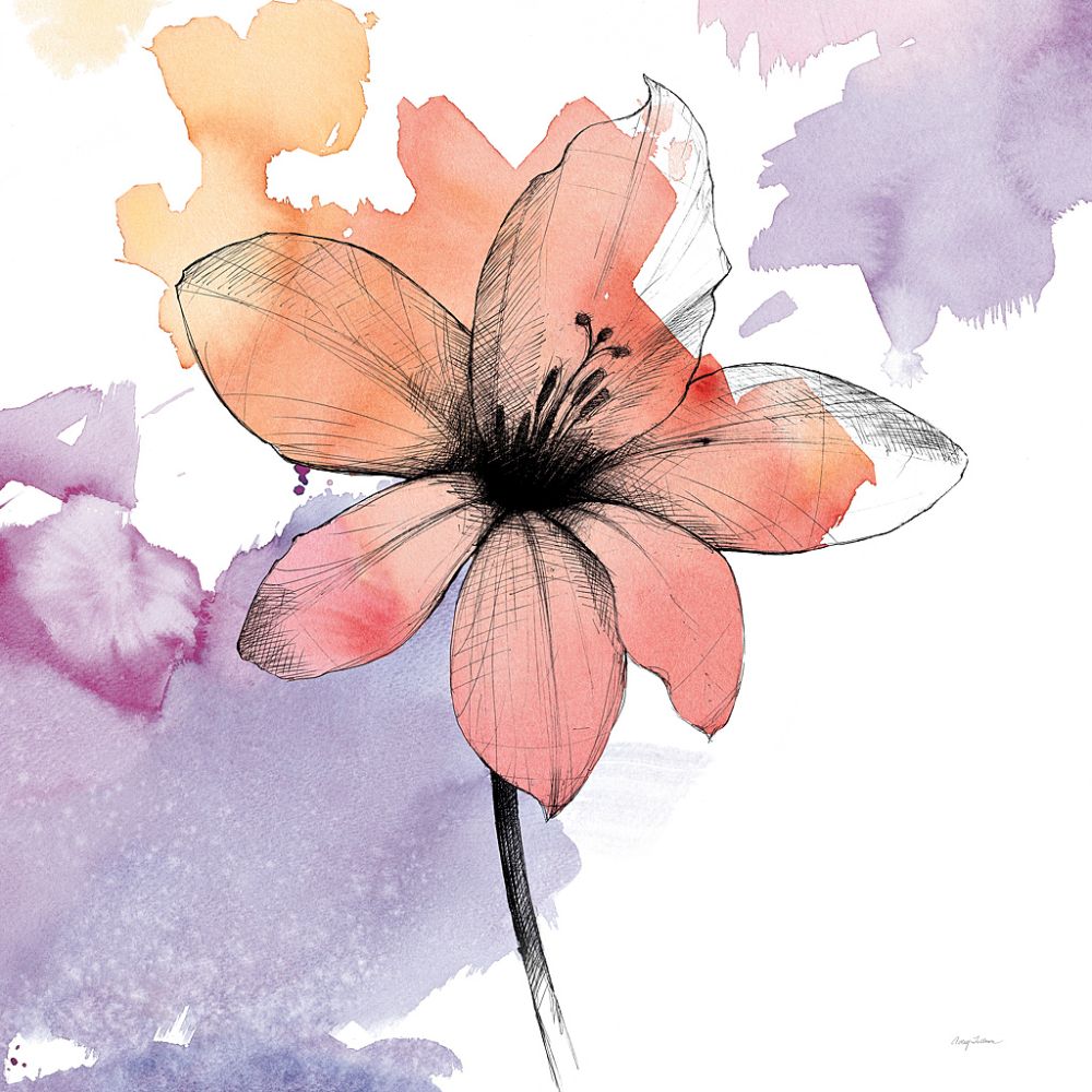 Watercolor Graphite Flower II