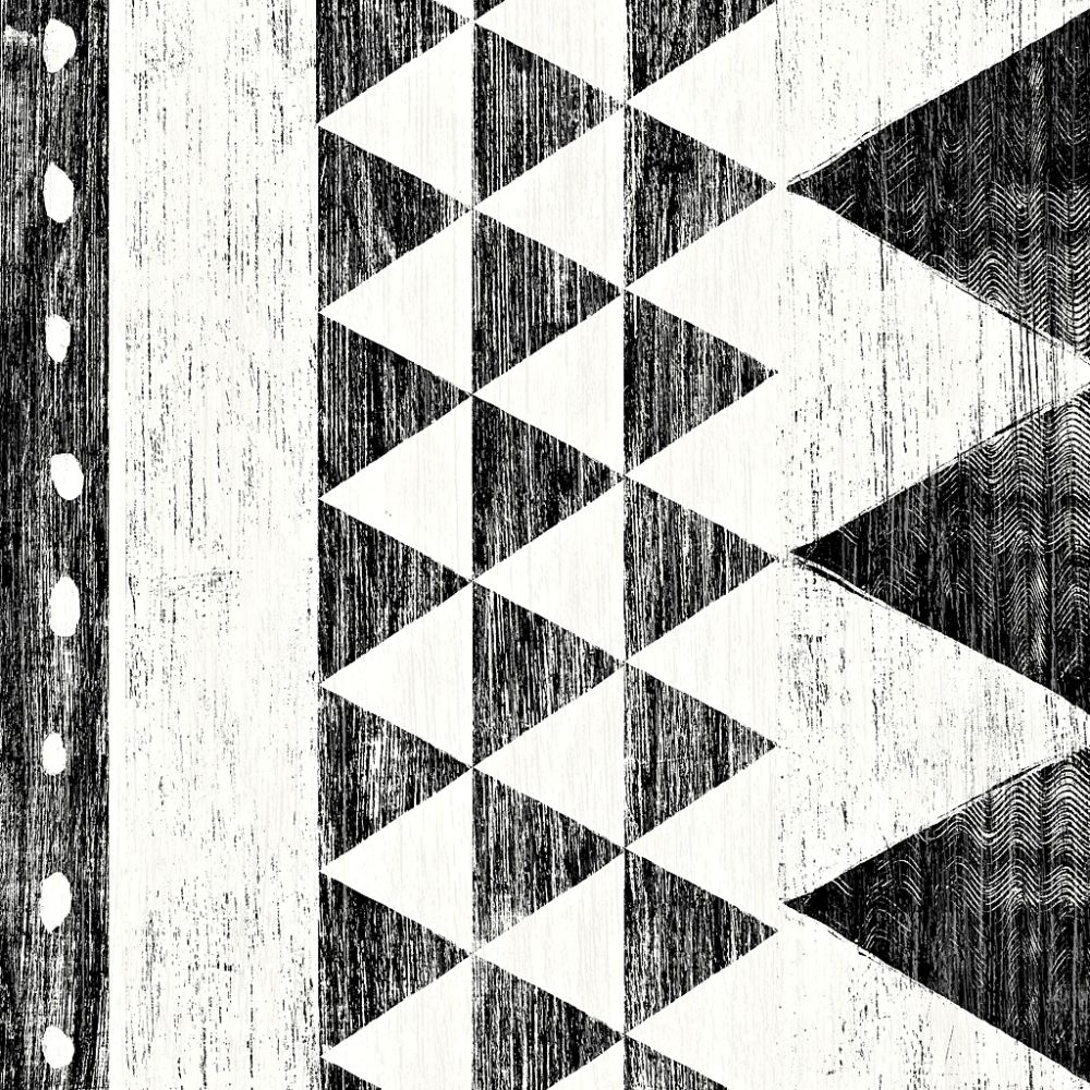 Patterns of the Savanna I No Gray BW