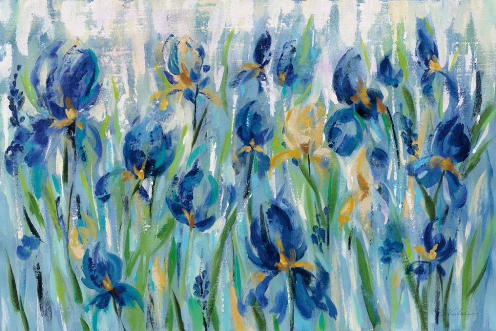 Iris Flower Bed