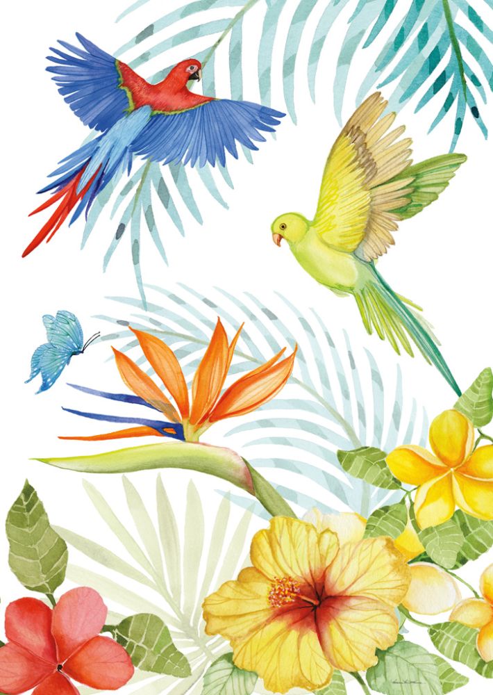 Treasures of the Tropics II