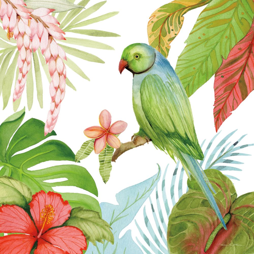 Treasures of the Tropics VII