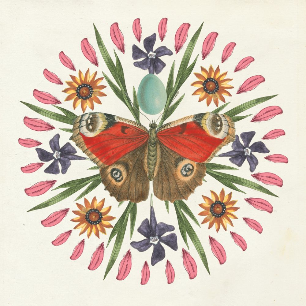 Butterfly Mandala II
