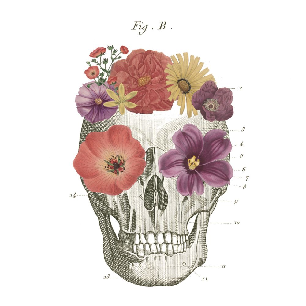 Floral Skull II