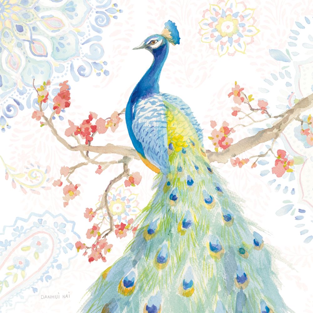 Jaipur II