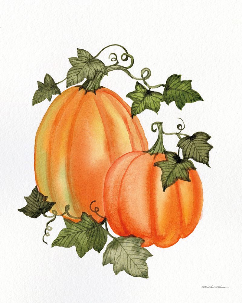Pumpkin and Vines I