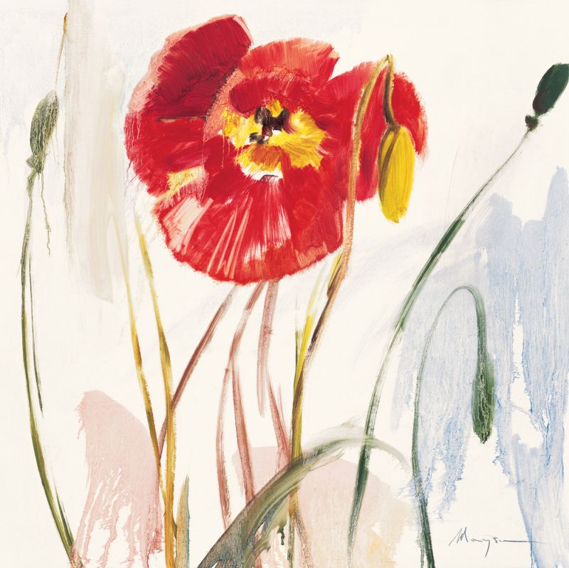 Crimson Poppy 3