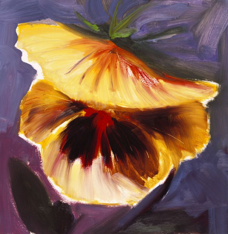 Bloem 4
