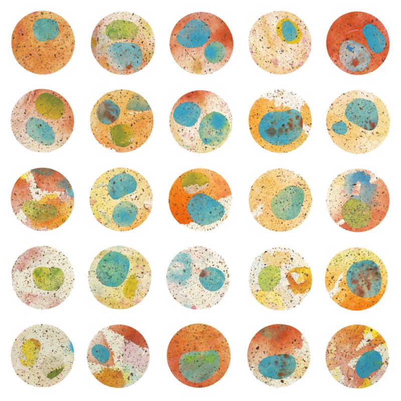 Orange & Green Circles