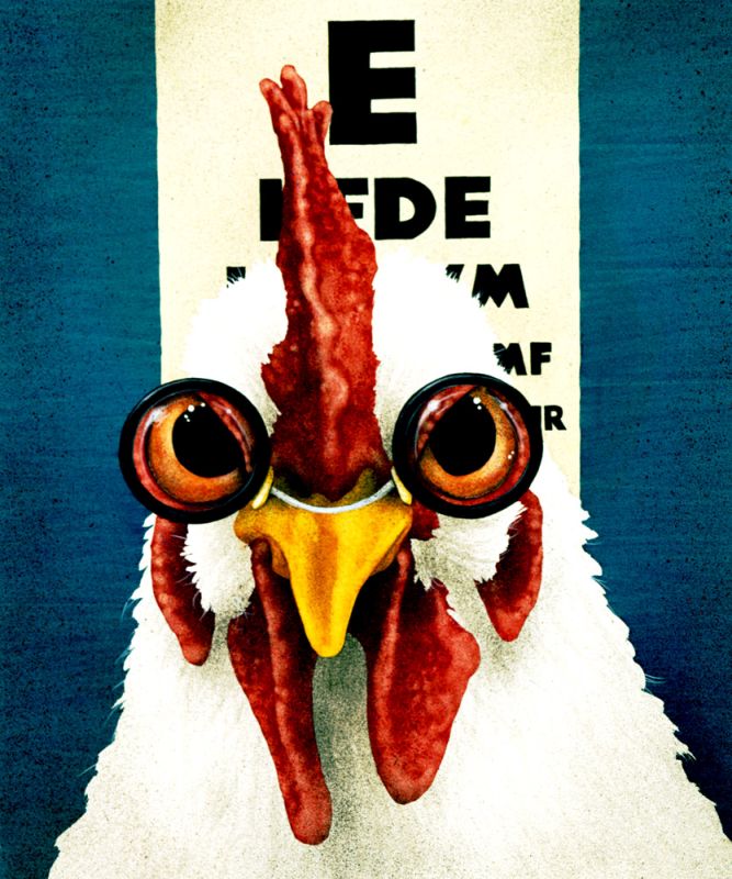 Cock Eye Doc