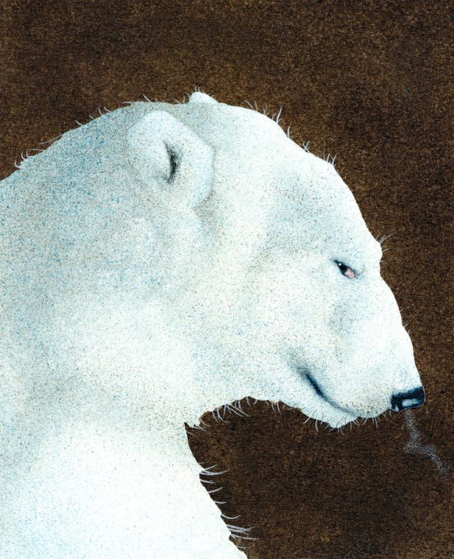 The Ice Man Cometh