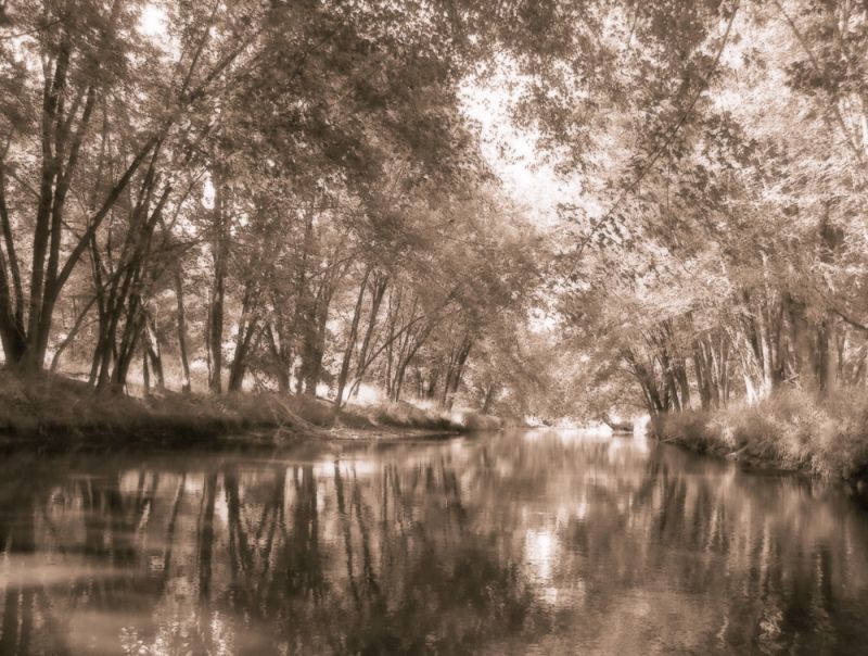 Mecan River 1