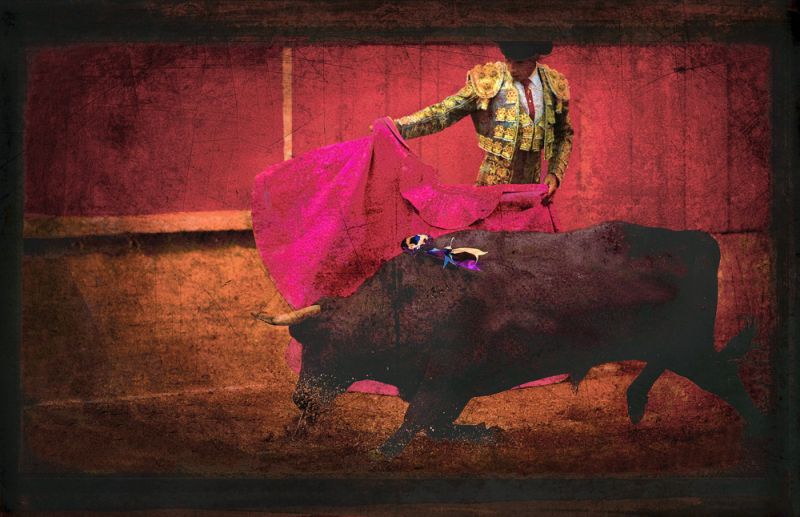 San Miguel, Bullfight #4