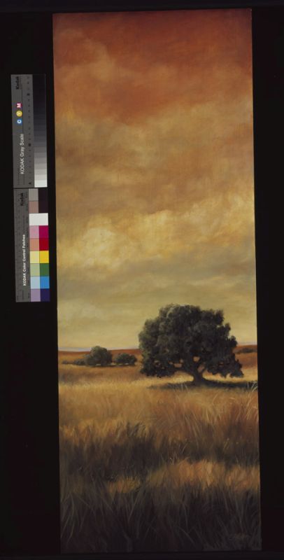 Five Oaks II