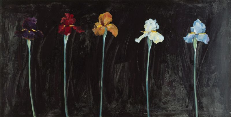 Midnight Irises