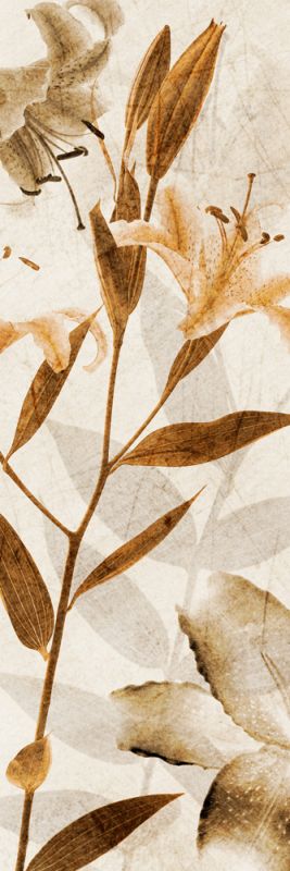 Ambre Antique II