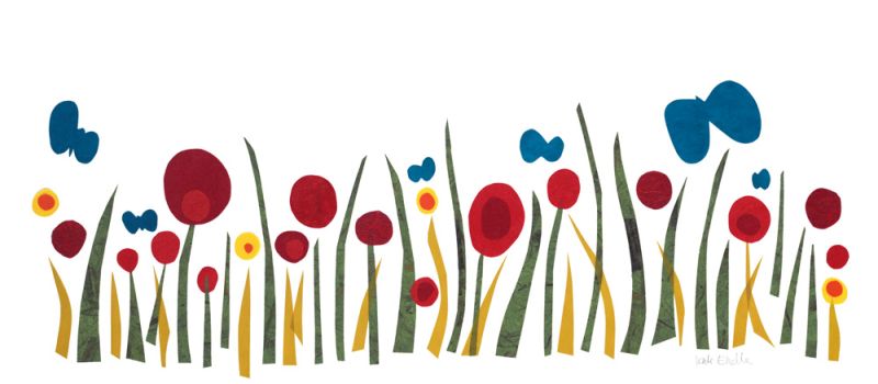 Butterflies and Poppies