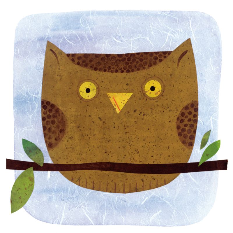 Owl