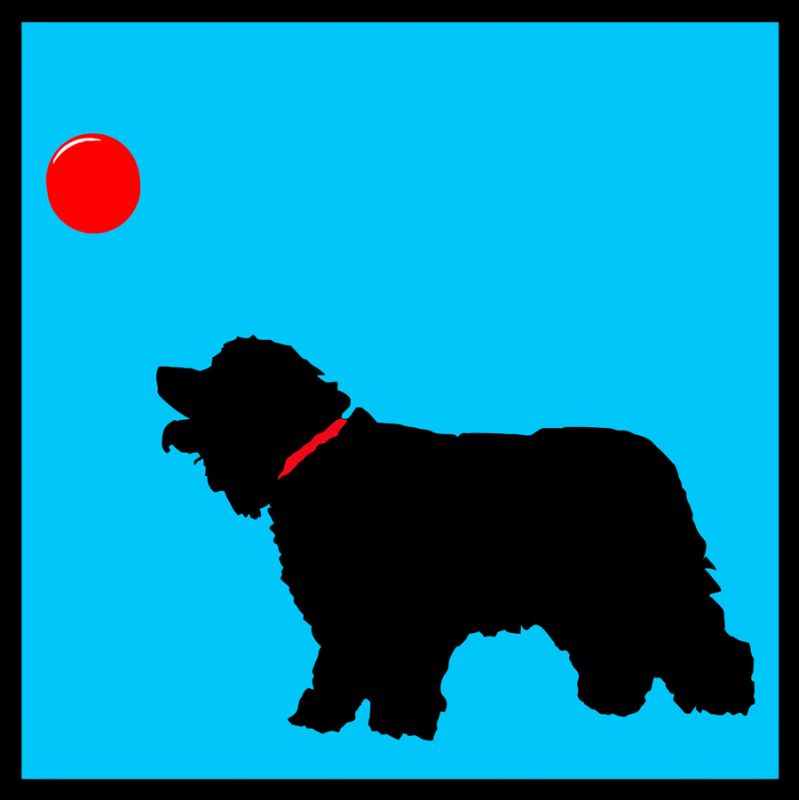 Four Dogs III