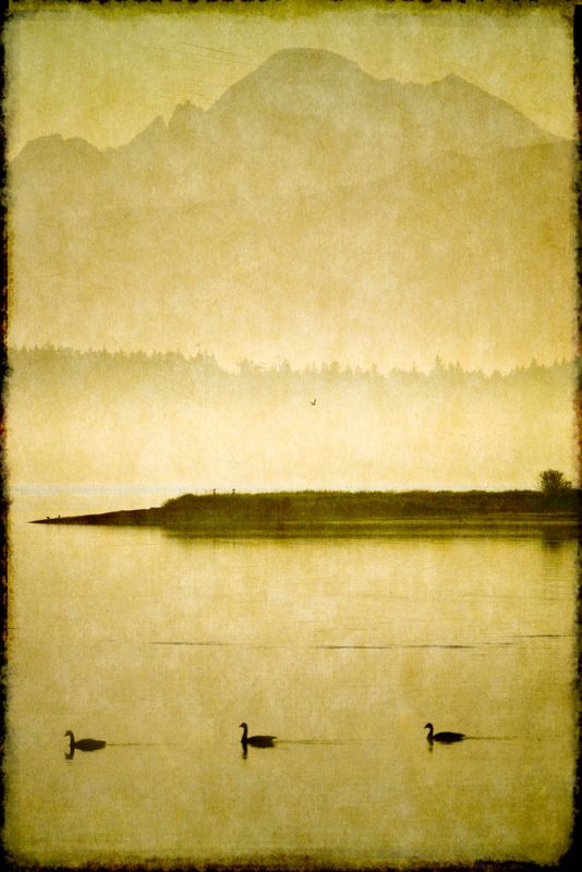 Morning Migration