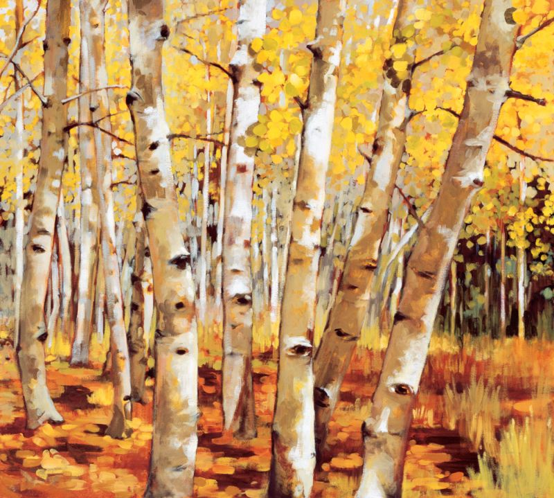 Aspen Grove