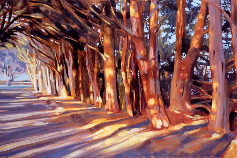 Shadows on the Road
