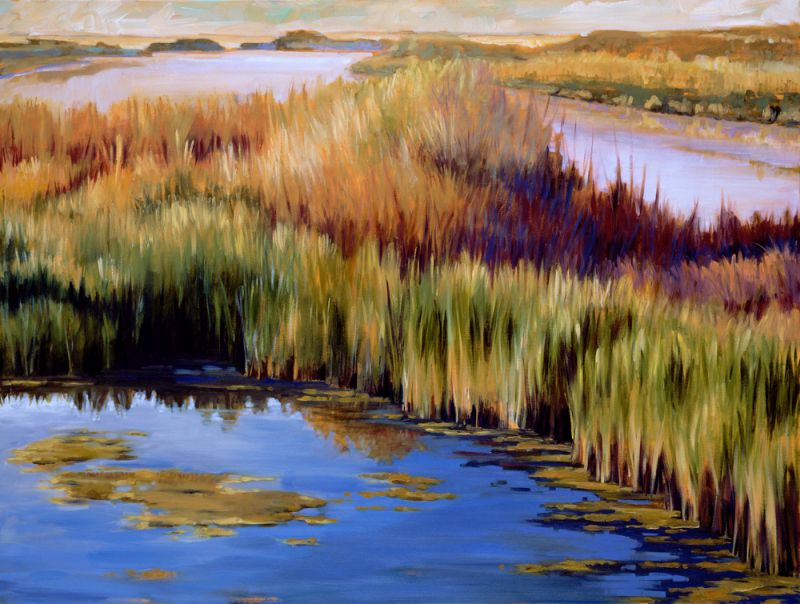 Wetlands