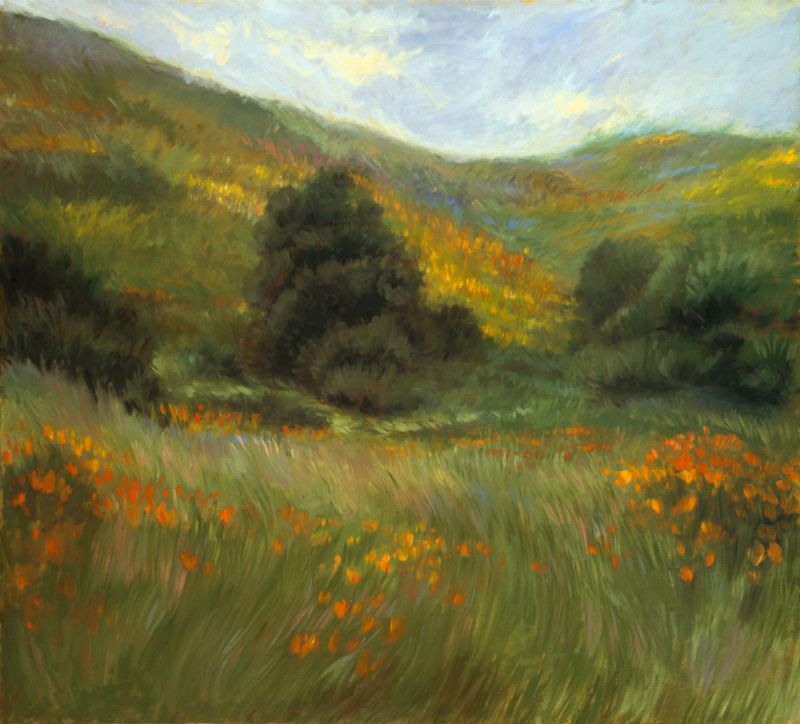 Meadow in Bloom