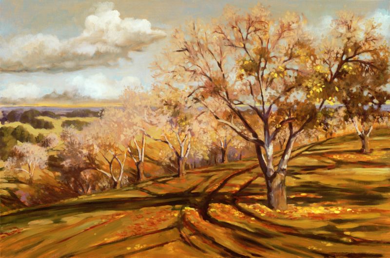The Walnut Orchard